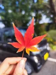 Hoàng Giápの画像