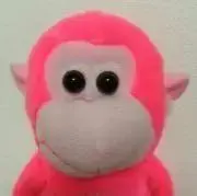 sunoの画像