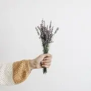 kの画像