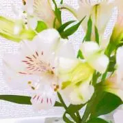 Mu.@同梱値下げ可能の画像
