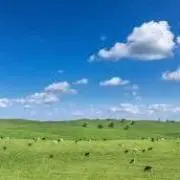 Mu--の画像
