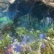 pontaの画像