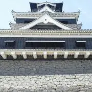 いとこんの画像
