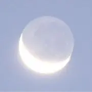 みの画像