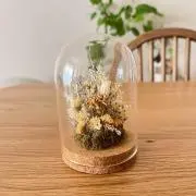 たのの画像