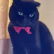 keiko