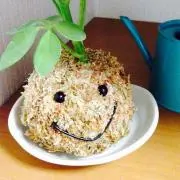 hau@の画像