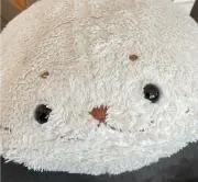 imoの画像