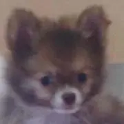 みーことママ