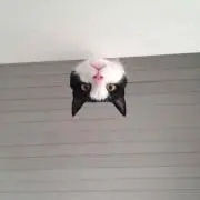 Max.