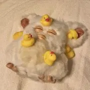 nemuiの画像