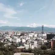 コウの画像