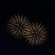 はなころんの画像