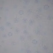 42の画像