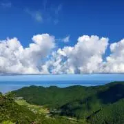 キーコの画像