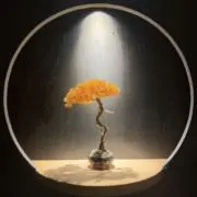 ハム太郎