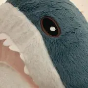 ふかひれ