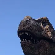 9/23まで発送できませんのんたんの画像