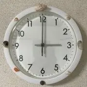 ヘモヘモの画像