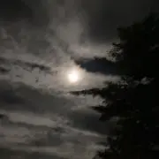 アーナの画像