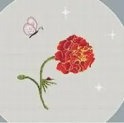 ✿Nokko✿の画像