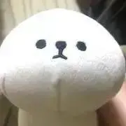 Pipuの画像