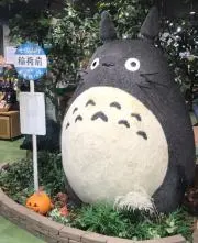 ピースの画像
