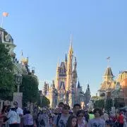 トムの画像