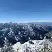 たまごの画像