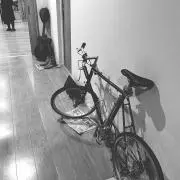 じゅんじゅんの画像