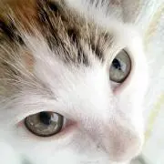 さっちゃん。