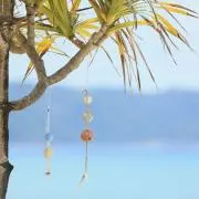 Mの画像