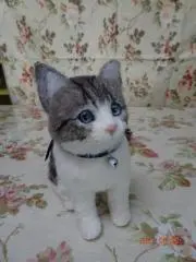 ガランちゃん