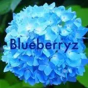 Blueberryzの画像