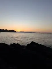バサー