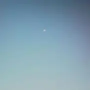 nikoの画像