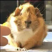 もっぷ工房の画像