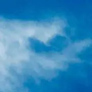 sVeeeee
