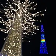 りたるの画像