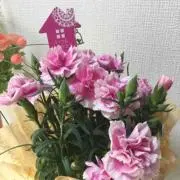 田中っち