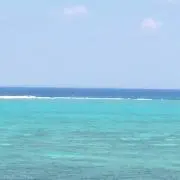 たかさん