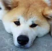 TAROU TANAKAの画像