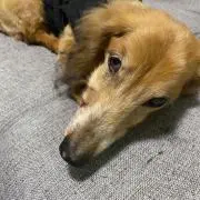 ドナーズ☆