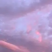 리