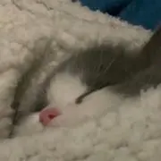 Meの画像