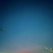 たまの画像