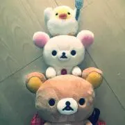 ayaの画像