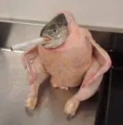 ニックネームの画像
