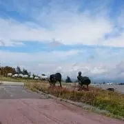 みーみーみーの画像