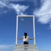 ぽんちゃんの画像